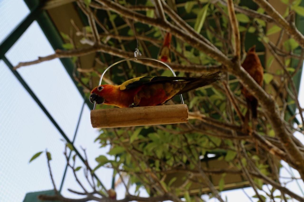 Manas Resort With Petting Zoo, Igatpuri Exterior photo