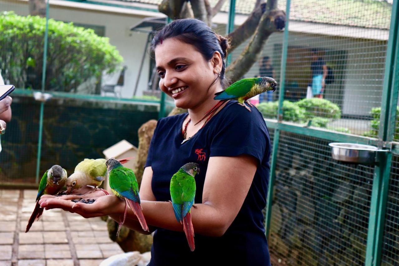Manas Resort With Petting Zoo, Igatpuri Exterior photo