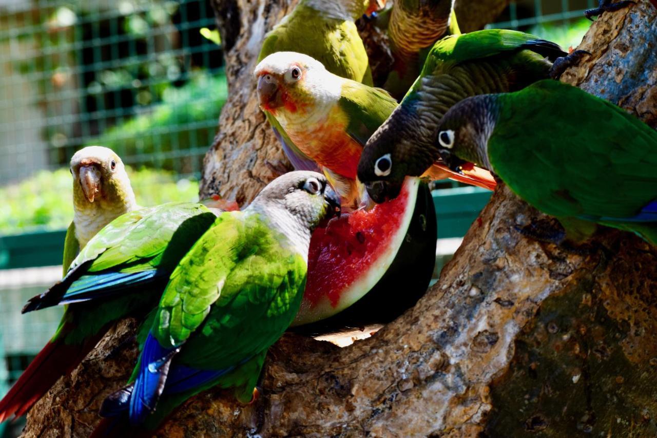 Manas Resort With Petting Zoo, Igatpuri Exterior photo